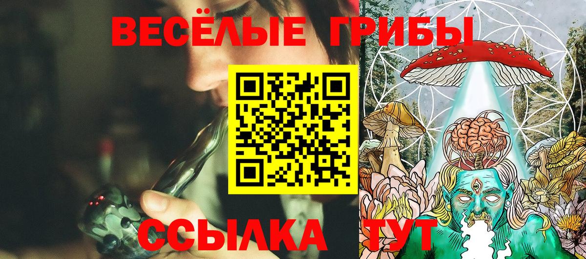 Моздок  Псилоцибиновые грибы прущие грибы  Вход с VPN 